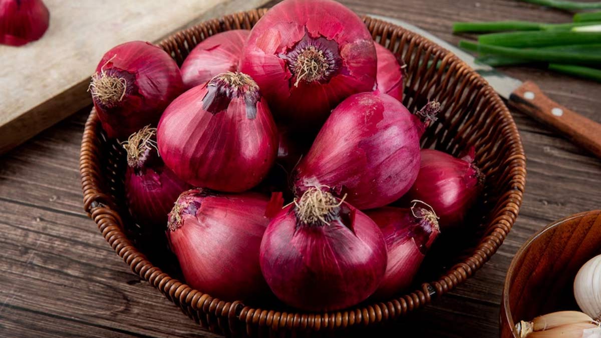 40-facts-about-onion