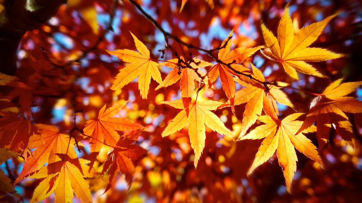 20-facts-about-autumn-equinox