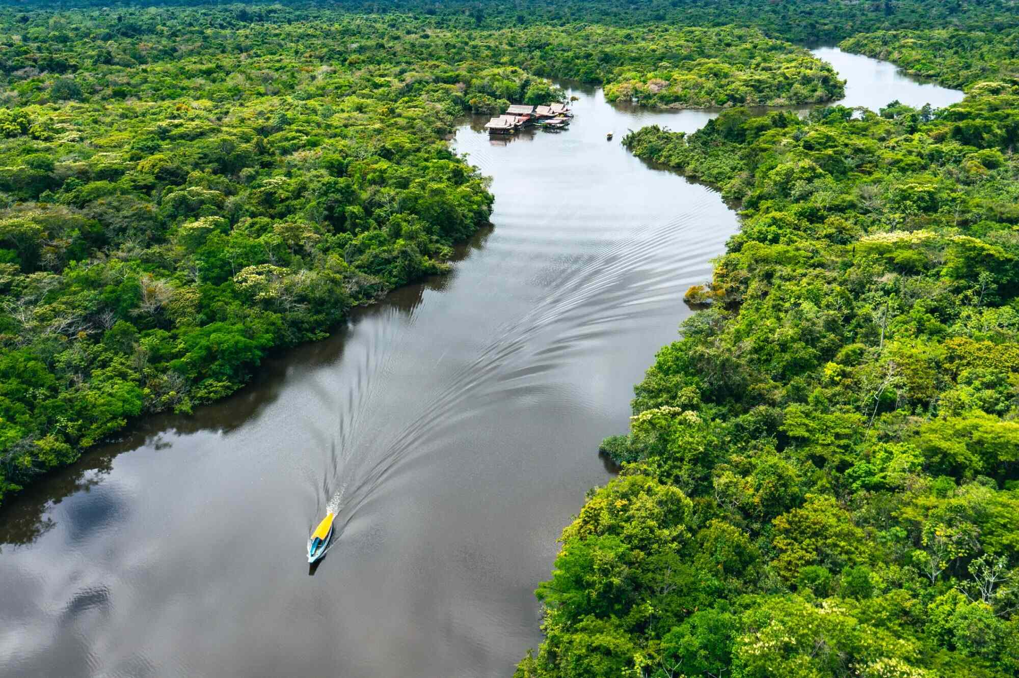 21-facts-about-amazon-rainforest