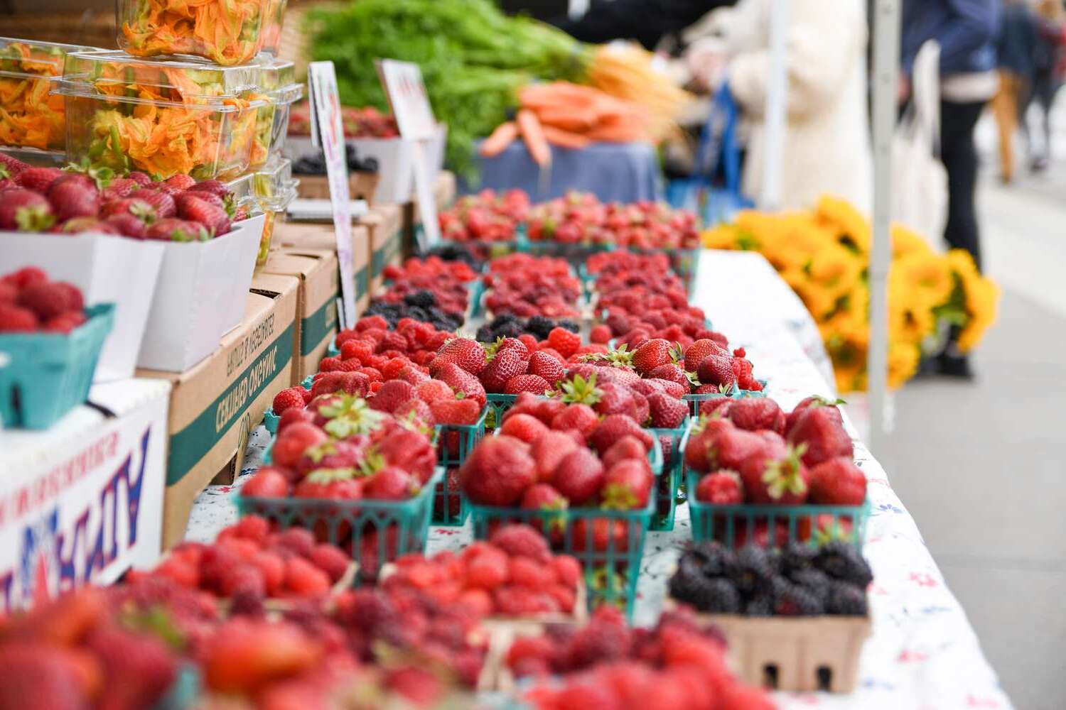 21-facts-about-farmers-markets