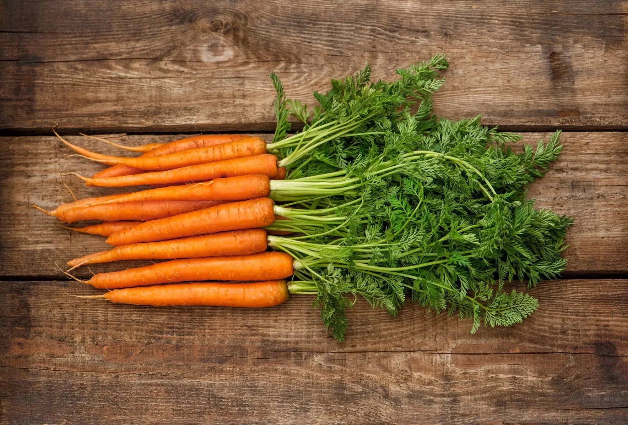 23-facts-about-carotenoids