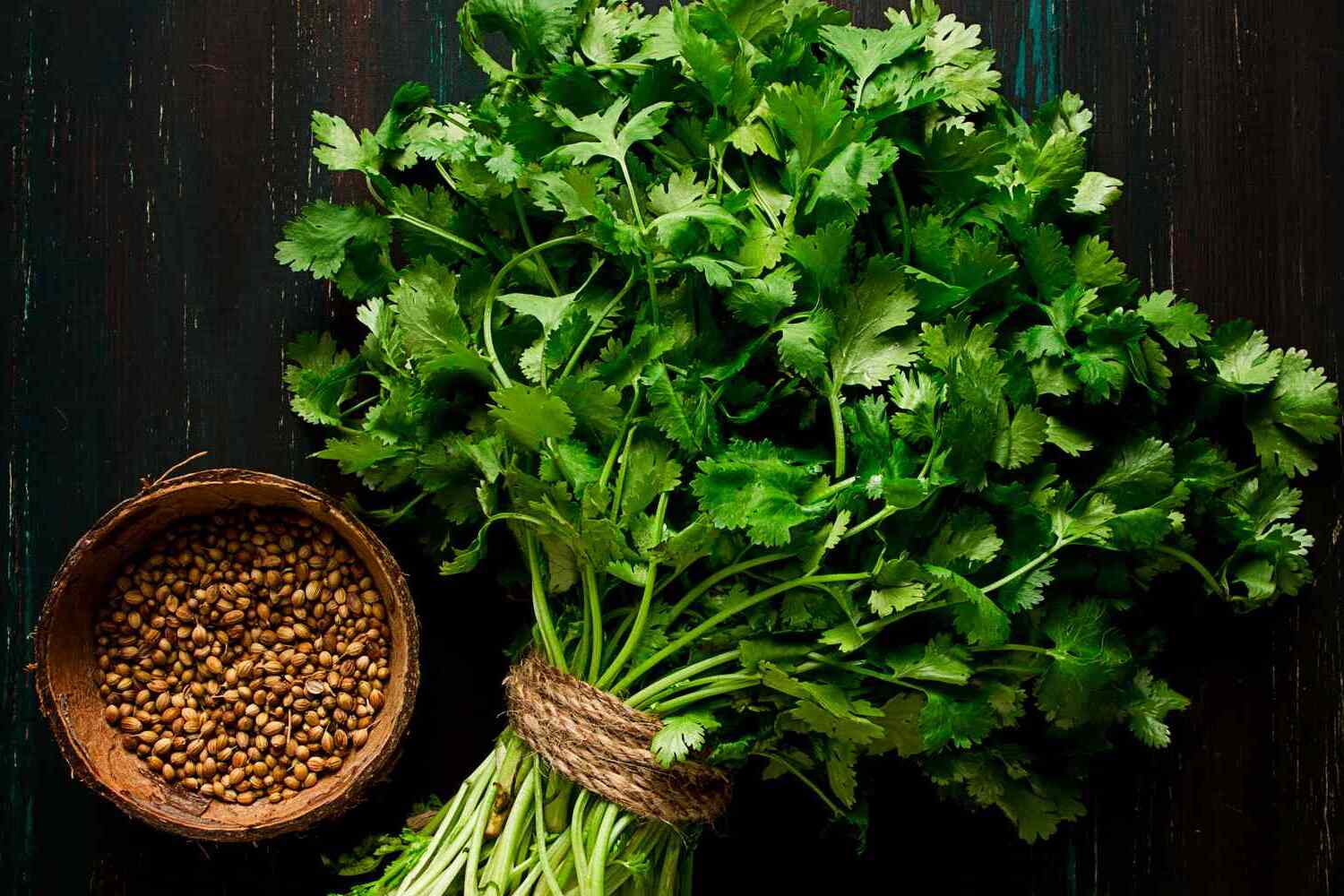 23-facts-about-cilantro