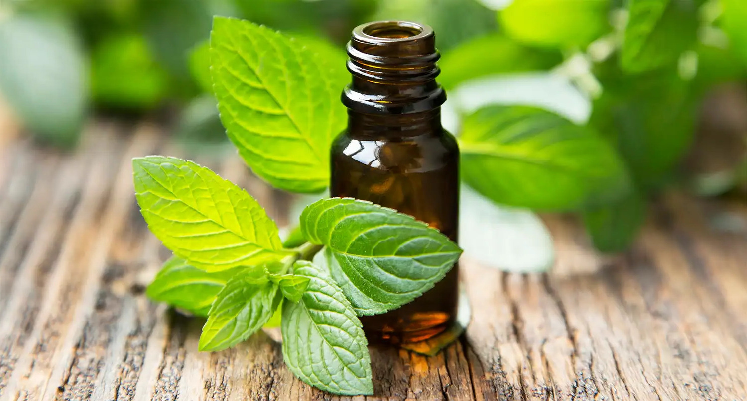 24-facts-about-essential-oils