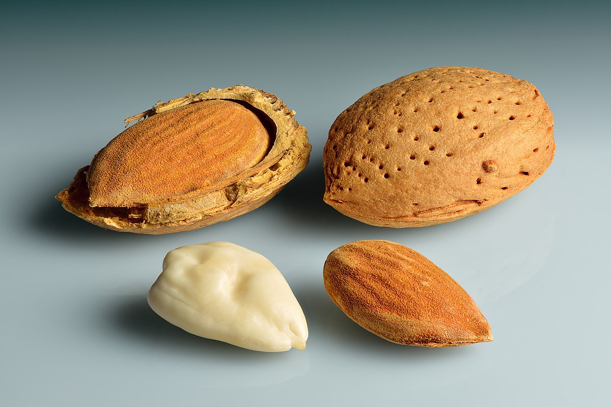 26-facts-about-almonds