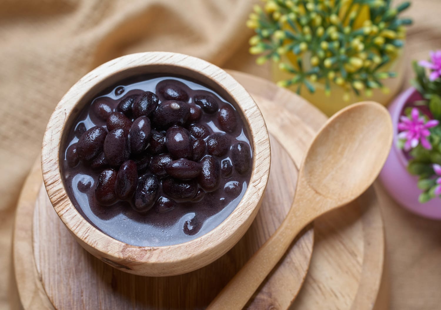 29-facts-about-black-beans