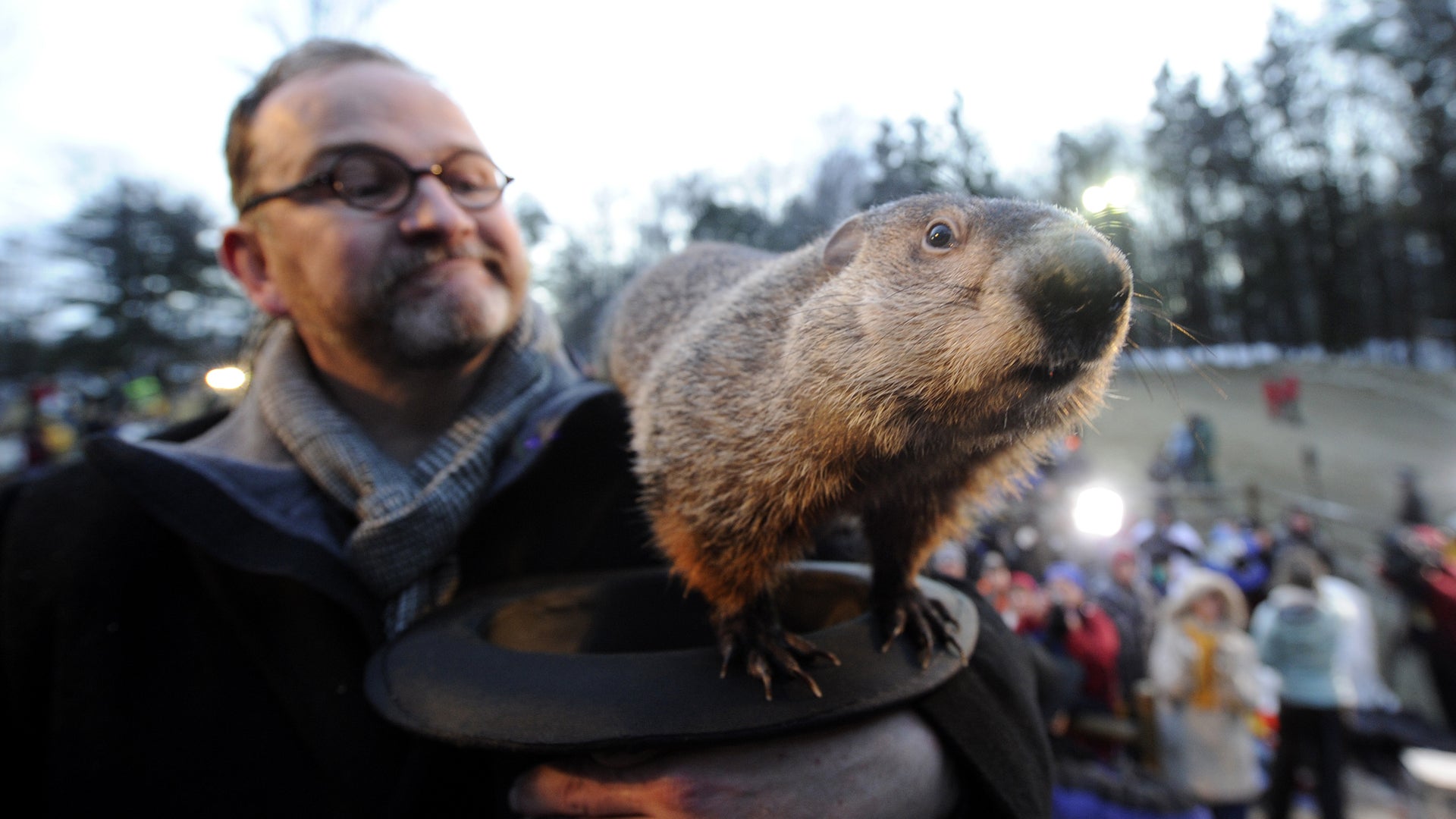 29-facts-about-groundhog-day