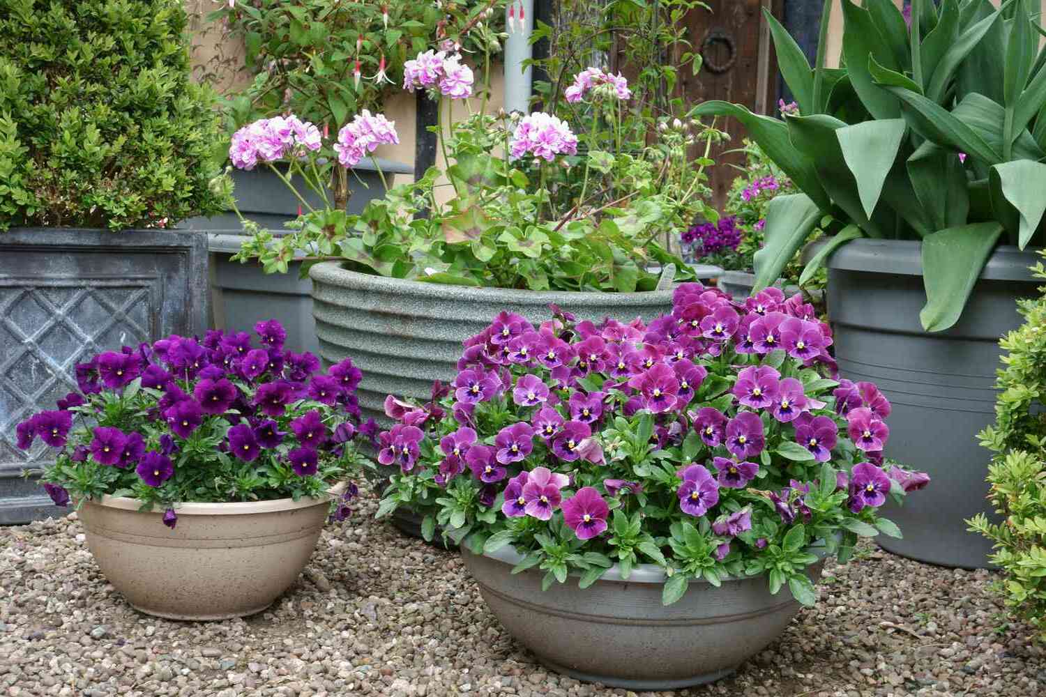 30-facts-about-container-gardening