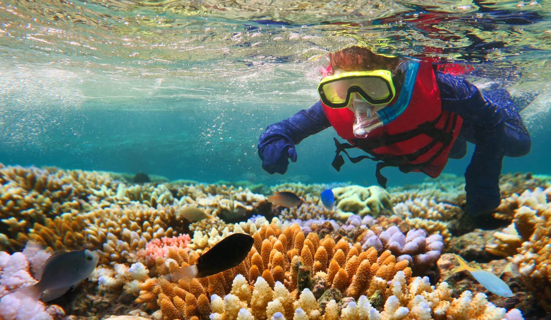 30-facts-about-great-barrier-reef