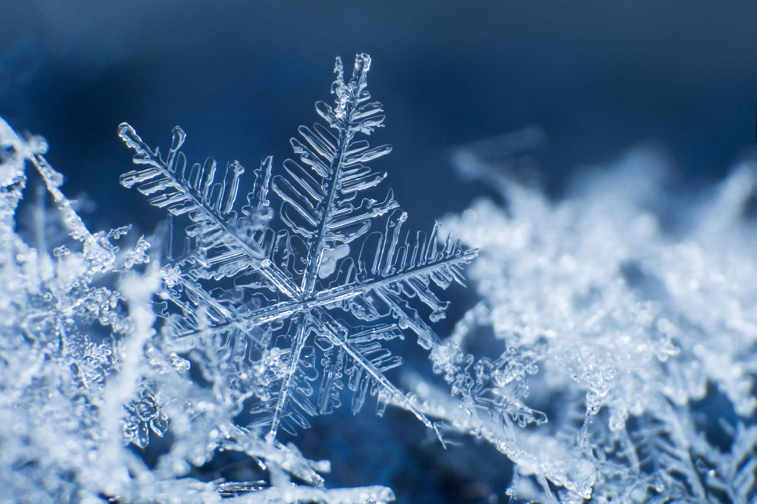 20-facts-about-snowflakes