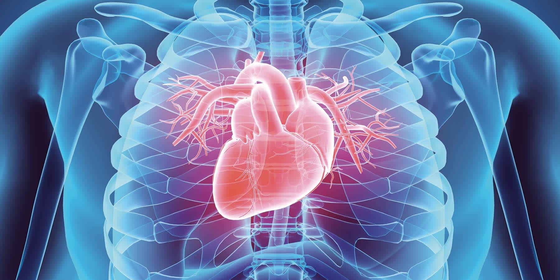 22-facts-about-heart-disease