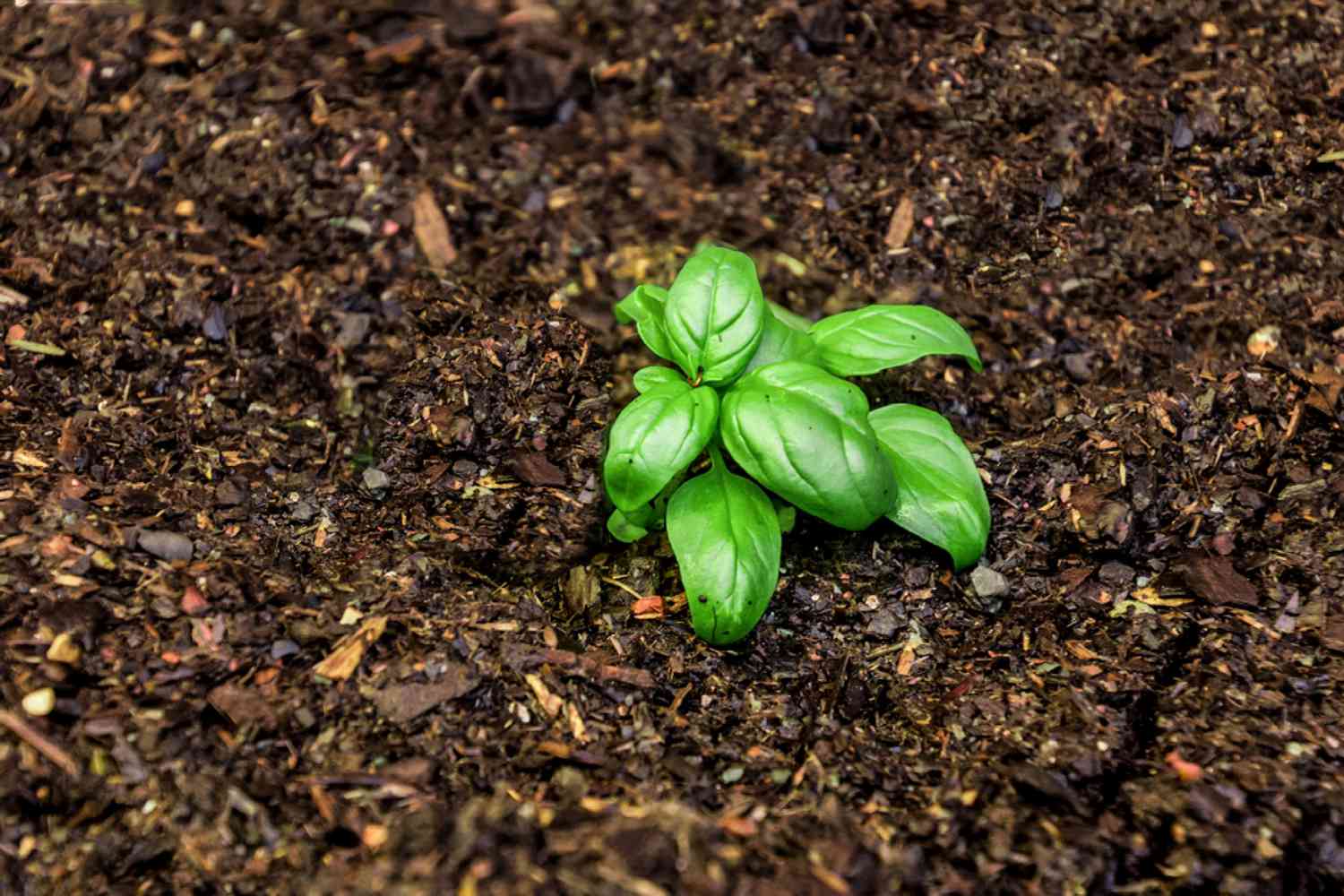 22-facts-about-soil-health