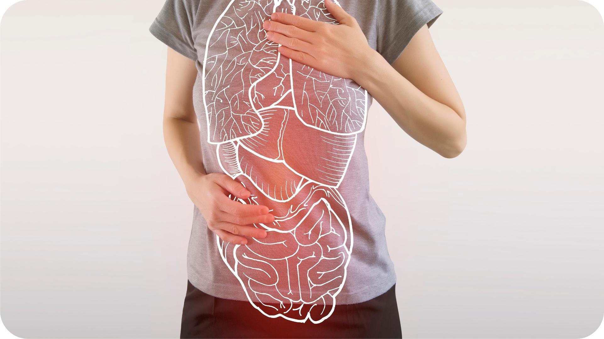 27-facts-about-digestive-health