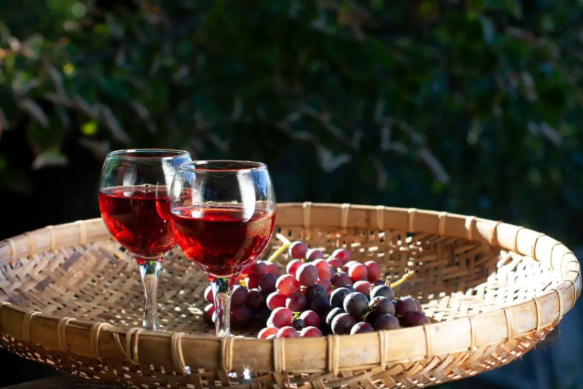 27-facts-about-wine