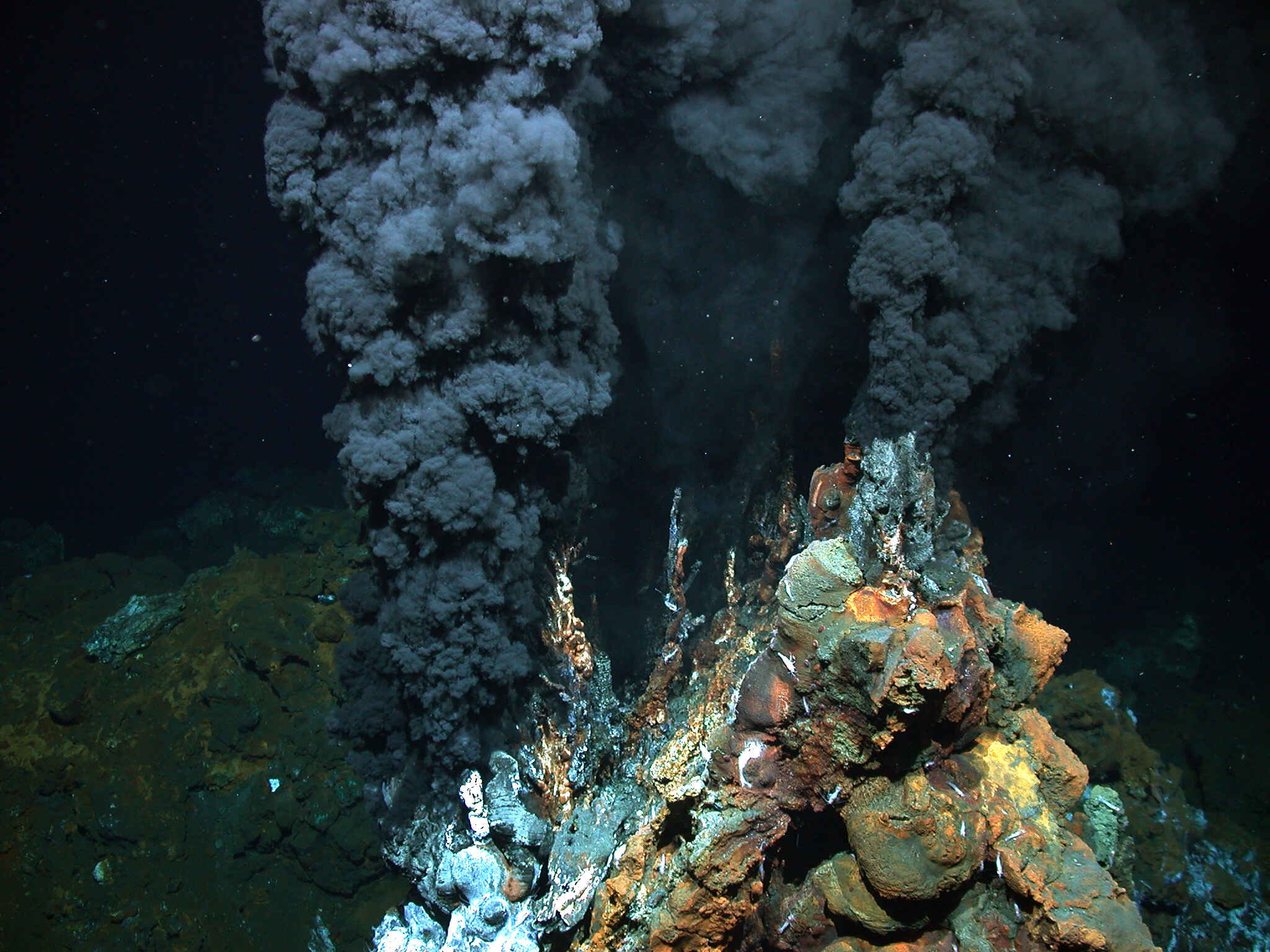 29-facts-about-hydrothermal-vents