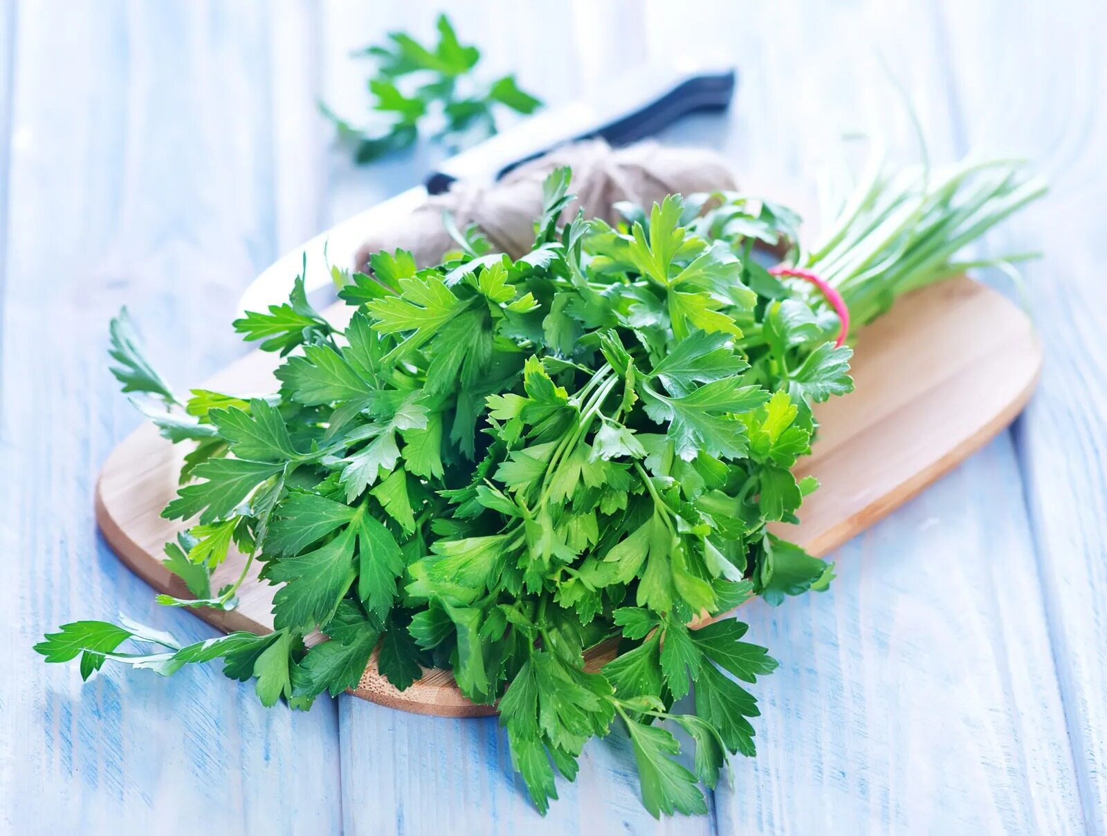 29-facts-about-parsley