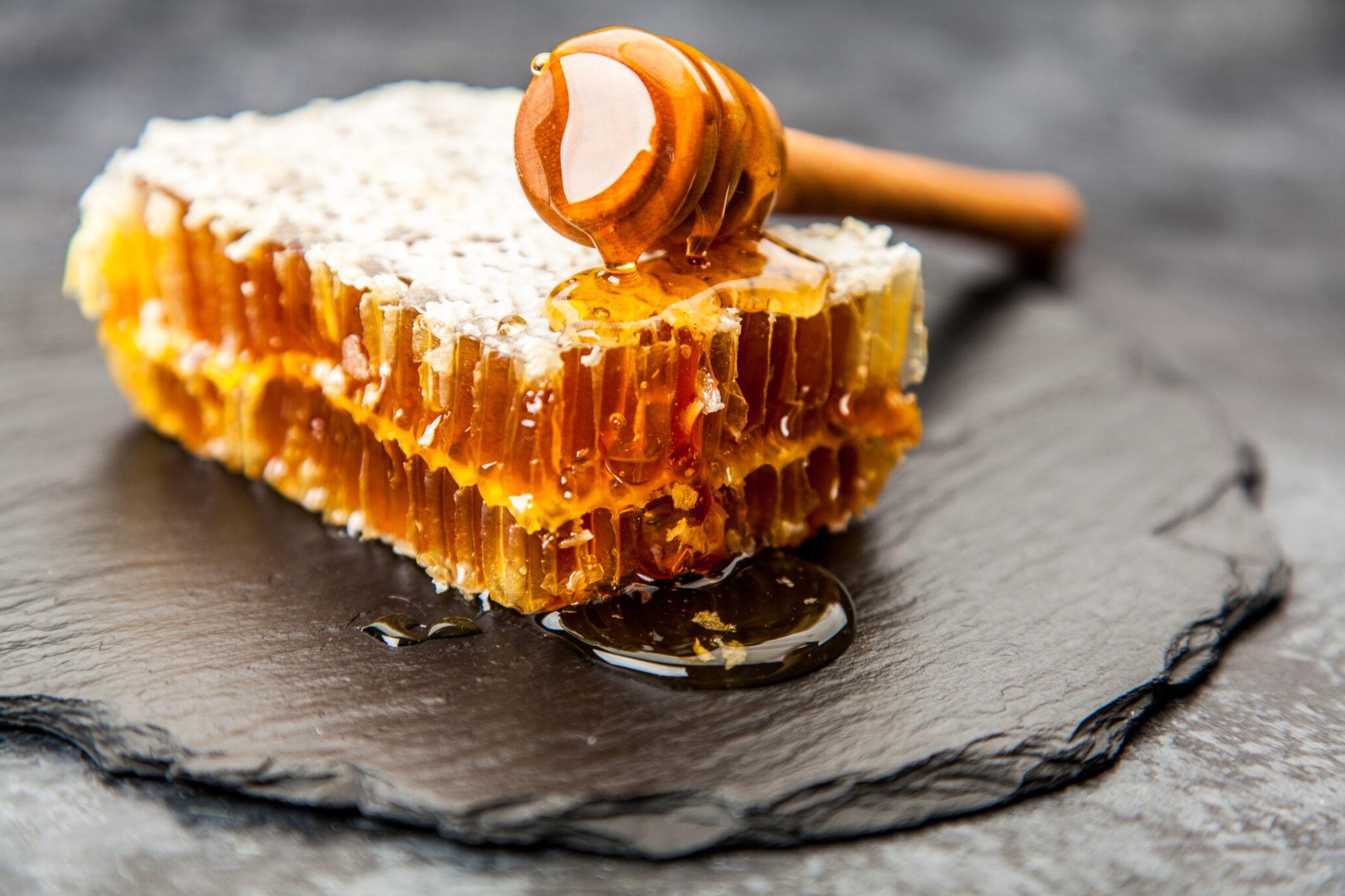 30-facts-about-honey