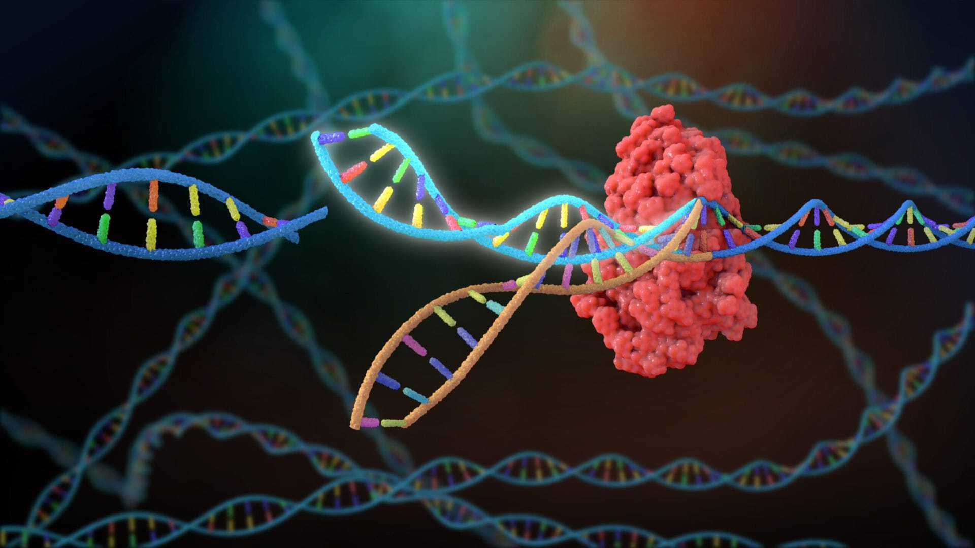 39-facts-about-crispr