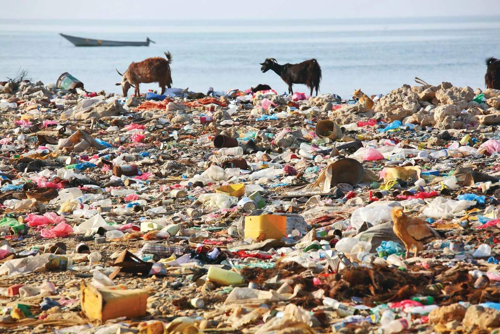 23-facts-about-plastic-pollution