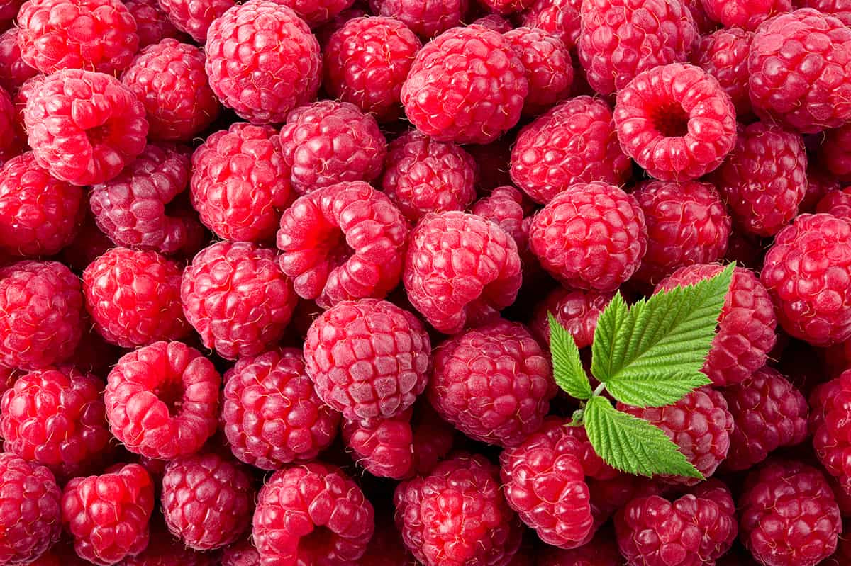 23-facts-about-raspberry