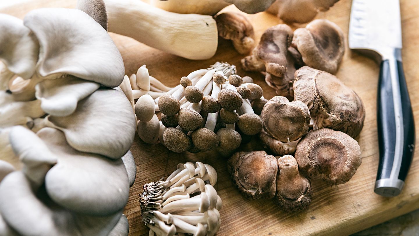 24-facts-about-mushrooms