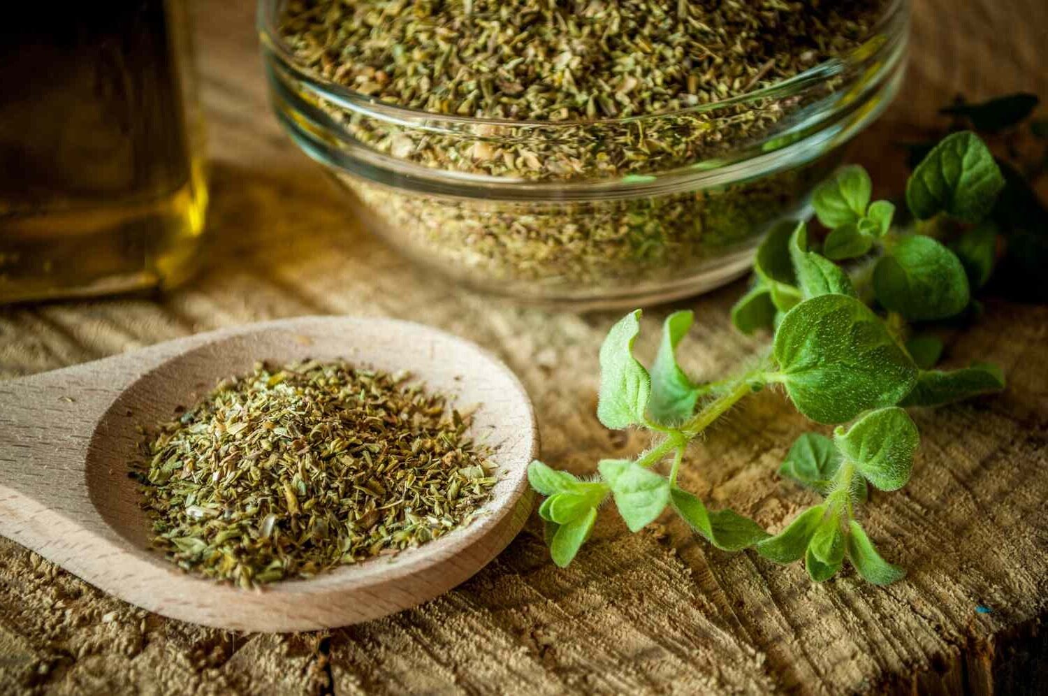 27 Facts About Oregano - OhMyFacts