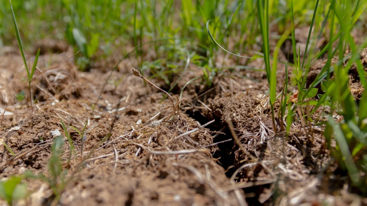 27-facts-about-soil-erosion