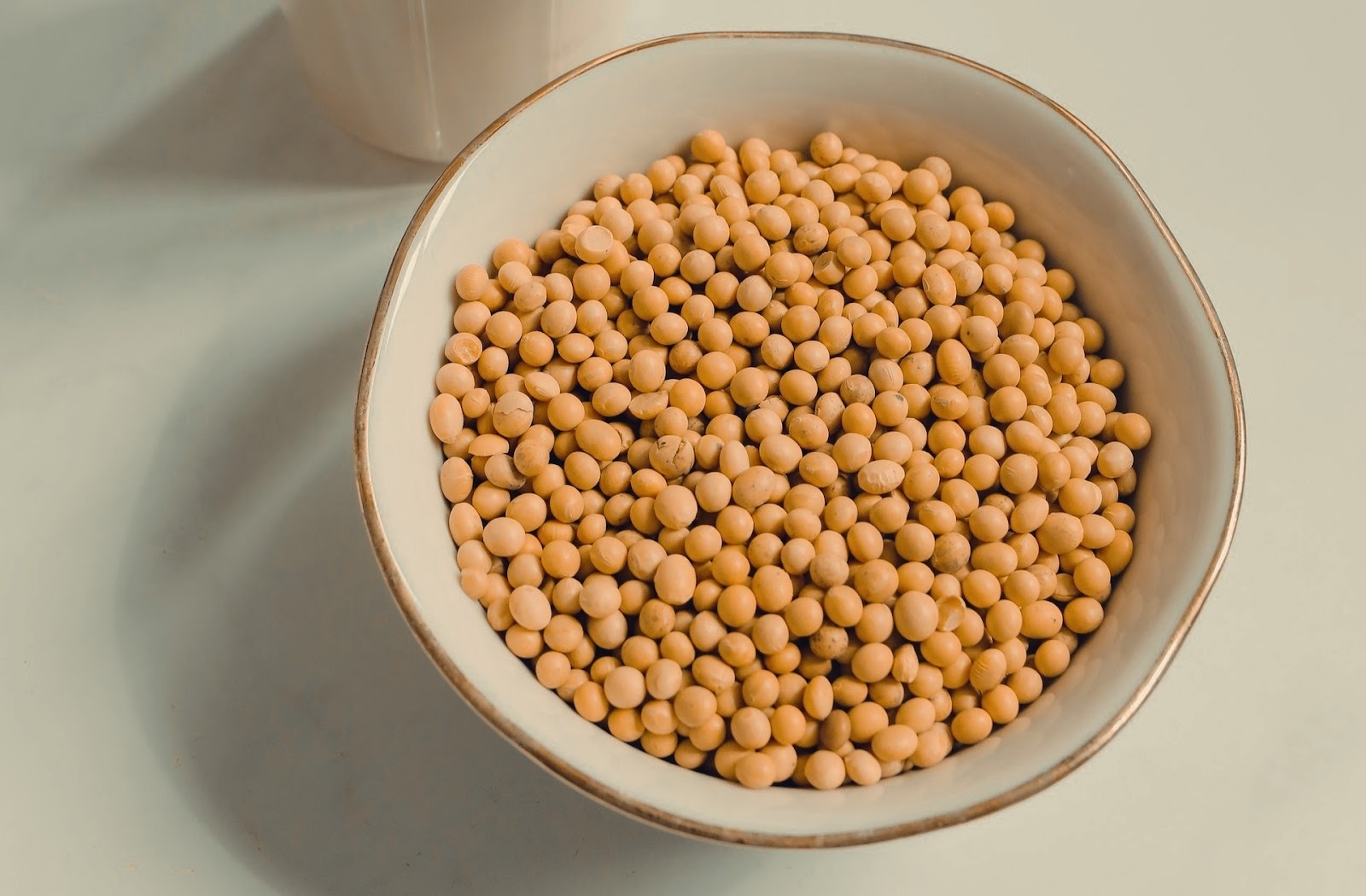 27-facts-about-soy-lecithin