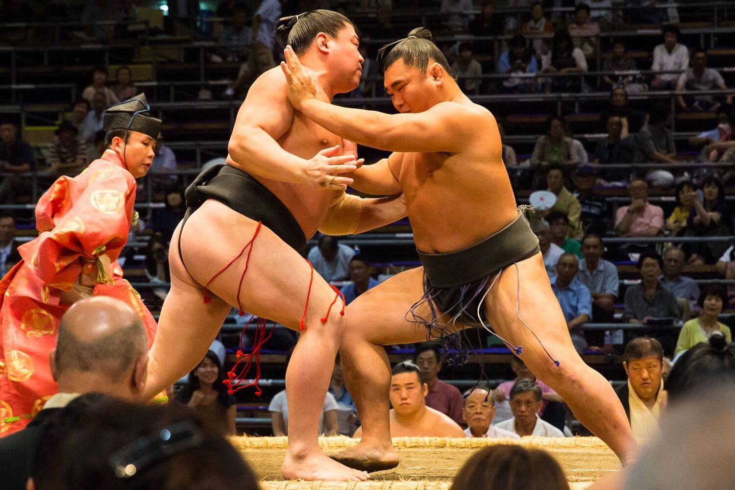 28-facts-about-sumo