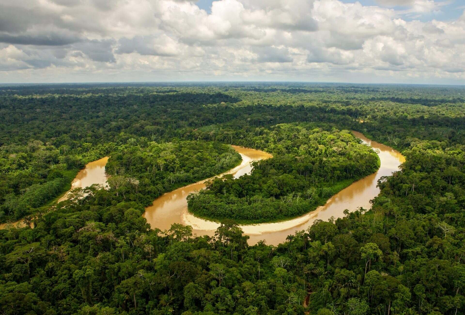 28 Facts About The Amazon Rainforest OhMyFacts