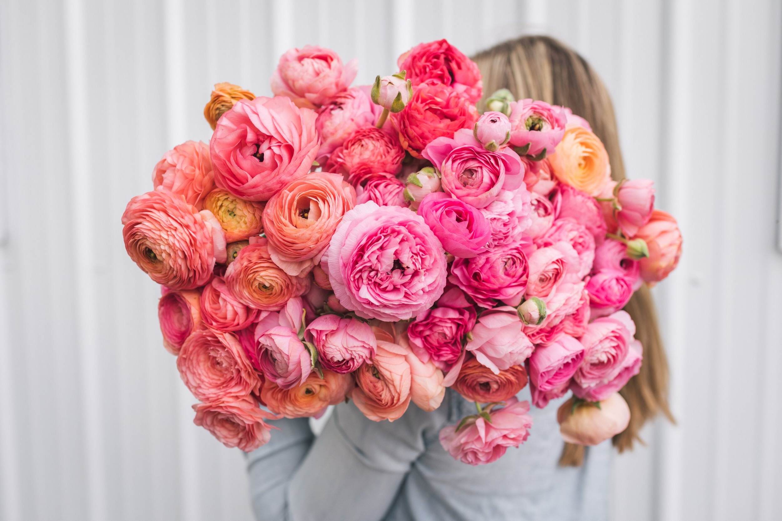 32-facts-about-ranunculus