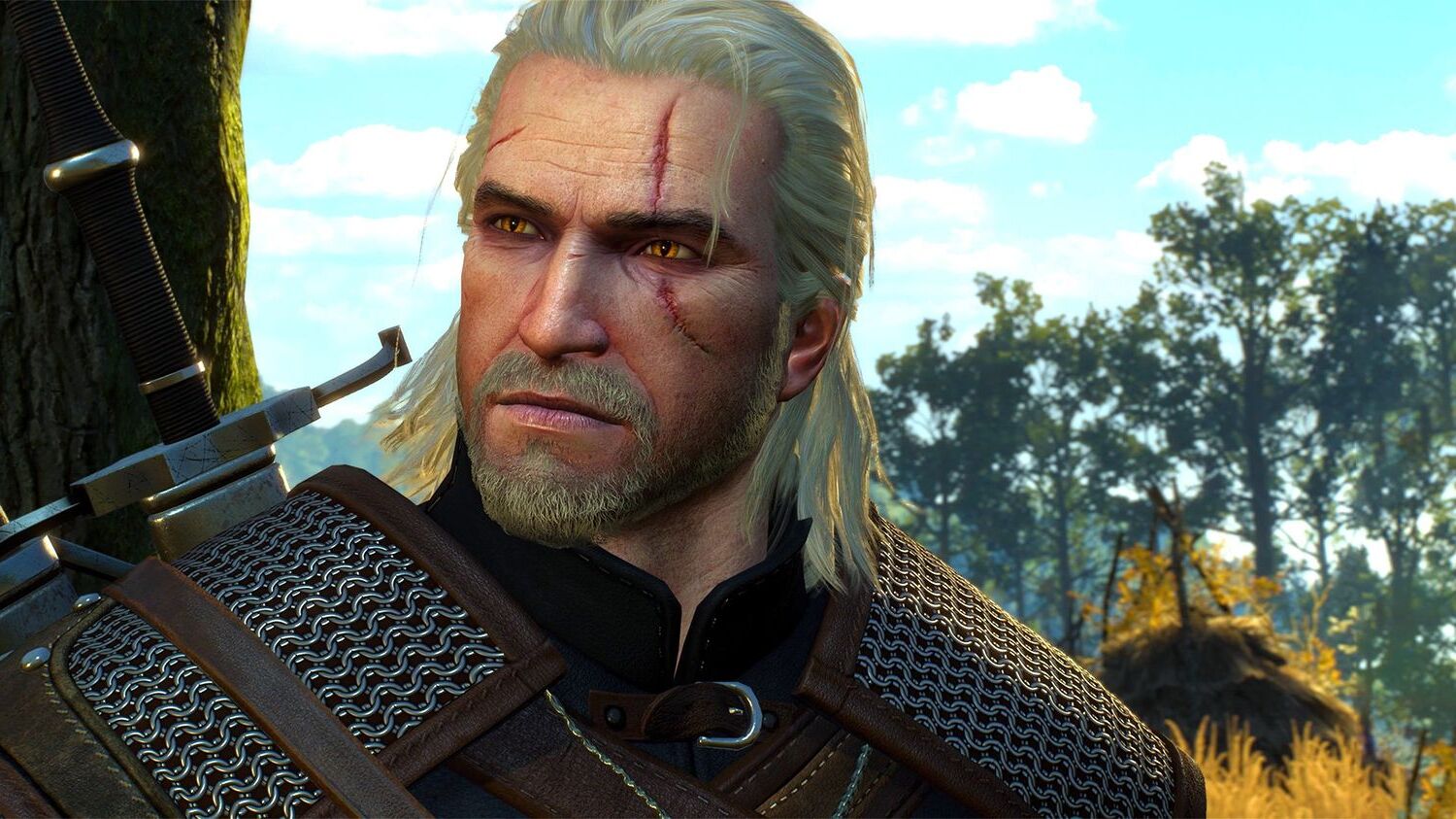 32-facts-about-the-witcher-video-game