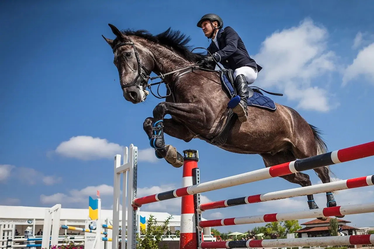 33-facts-about-show-jumping