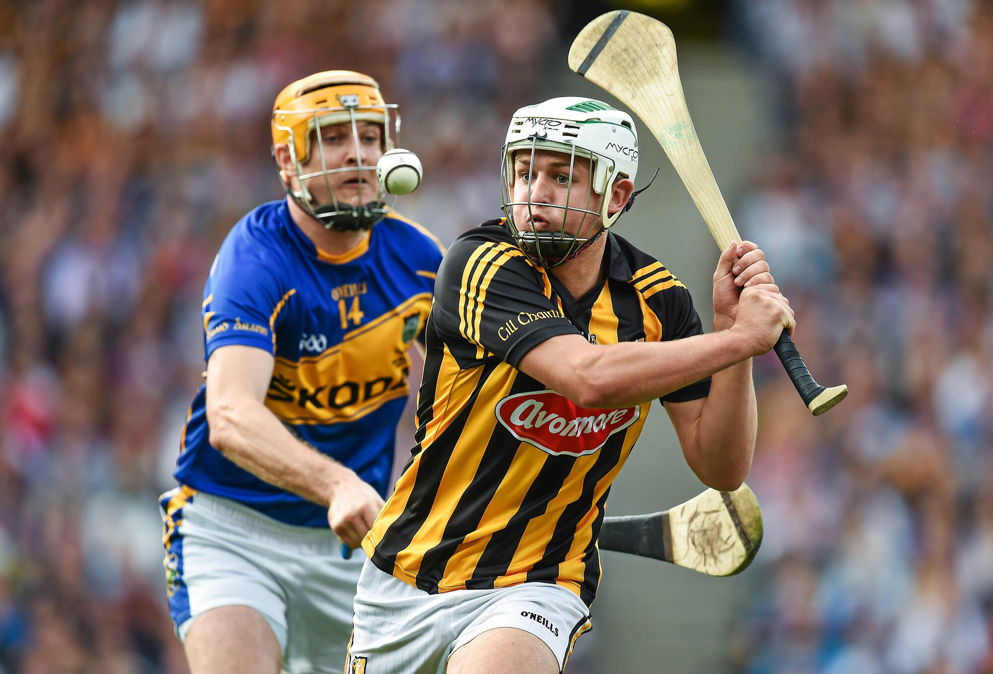 35 Facts About Hurling - OhMyFacts