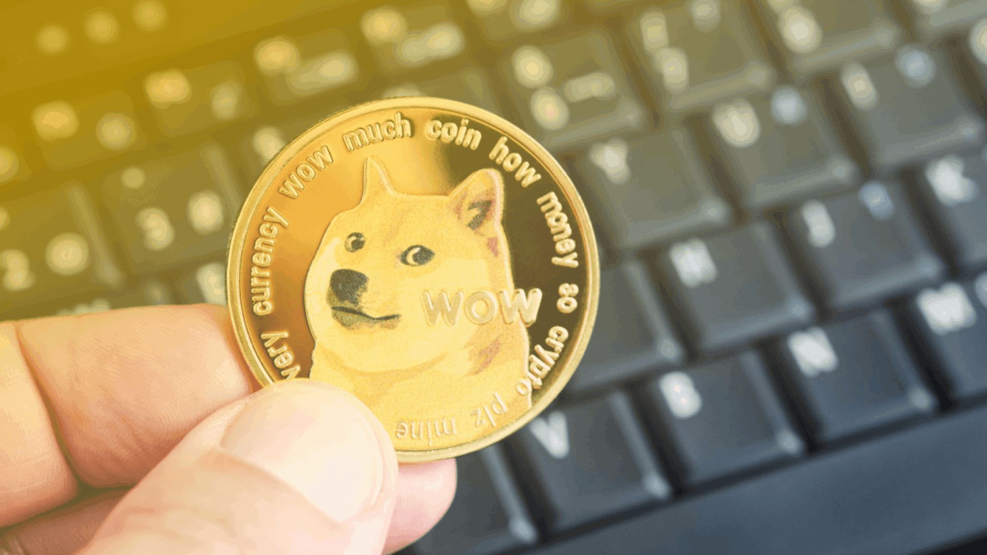 26-facts-about-dogecoin-doge